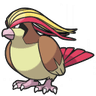 รูป Pidgeot