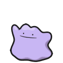 รูป Ditto