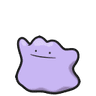 รูป Ditto