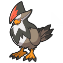 Staraptor