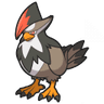 Staraptor
