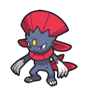 Weavile