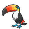 รูป Toucannon