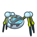 รูป Araquanid