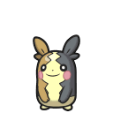 รูป Morpeko